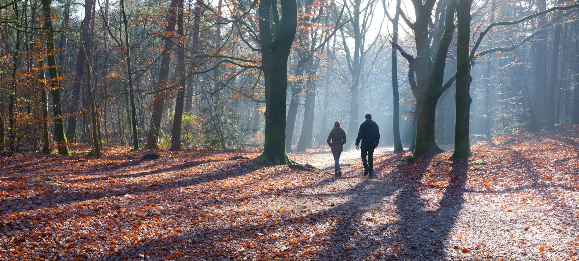 Uitvaartondernemer alphen regio gouda boskoop overlijden begrafenis regelen